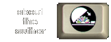 about the author